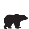 Bear animal icon